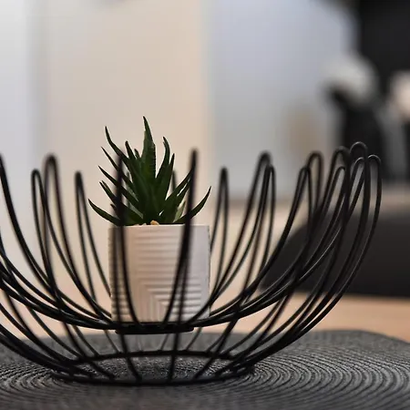 アパート Dolce ザダル