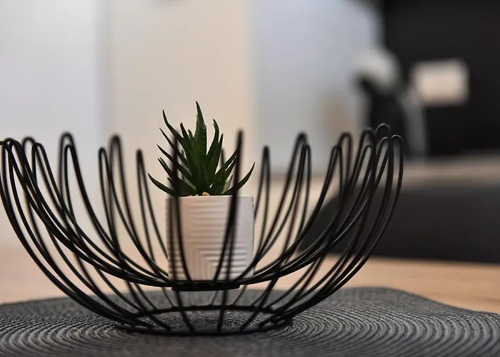 Apartment Dolce Zadar